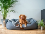 Zukimaki’s Paw-some Product Recommendations: A Dog’s Guide to Must-Have Pet Products